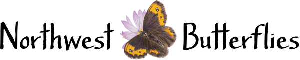 Northwest Butterflies logo
