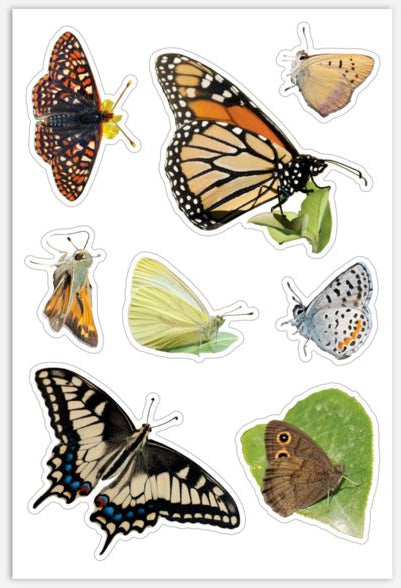 Sticker Sheet (2 options)