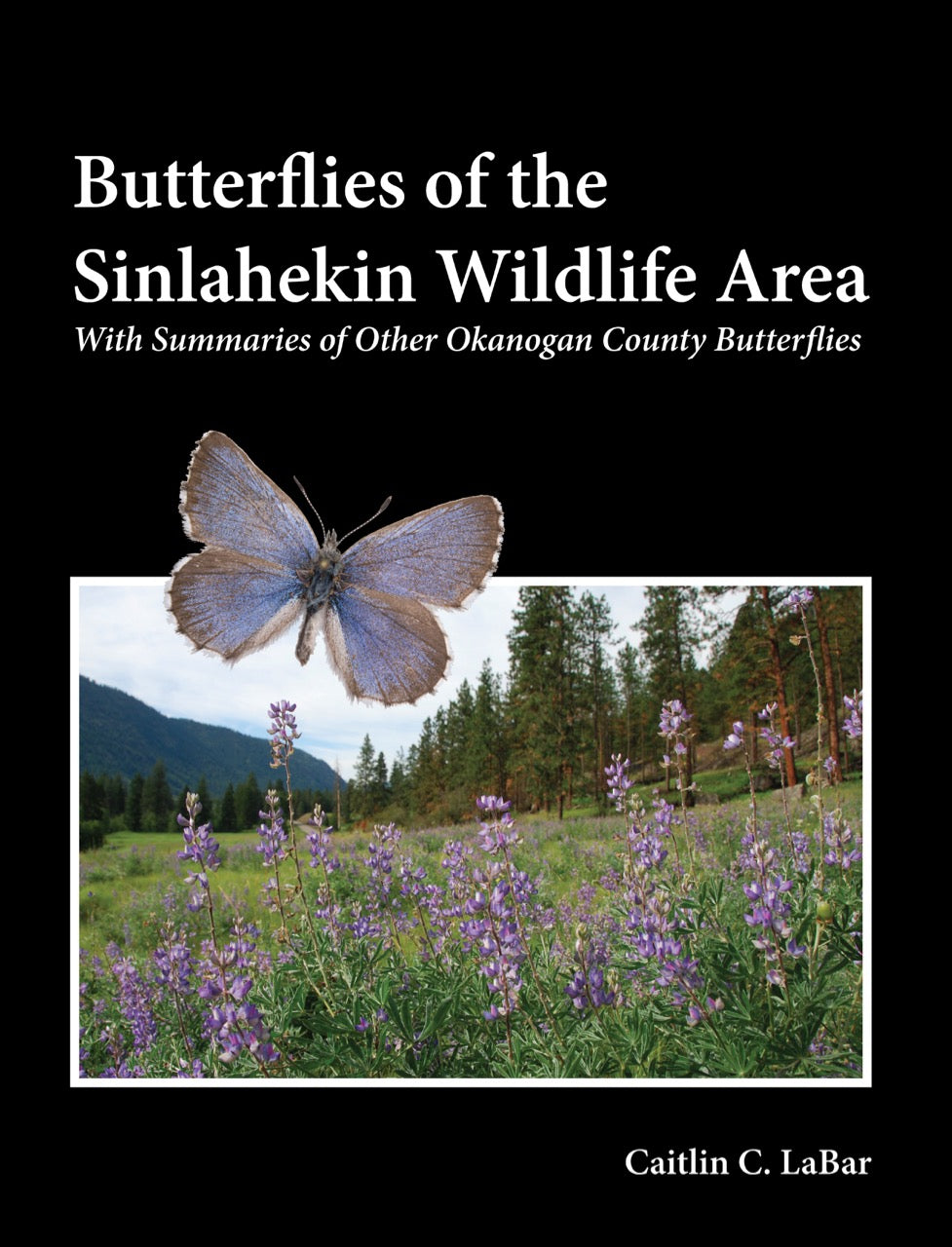 Butterflies of the Sinlahekin Wildlife Area - GRAY COVER