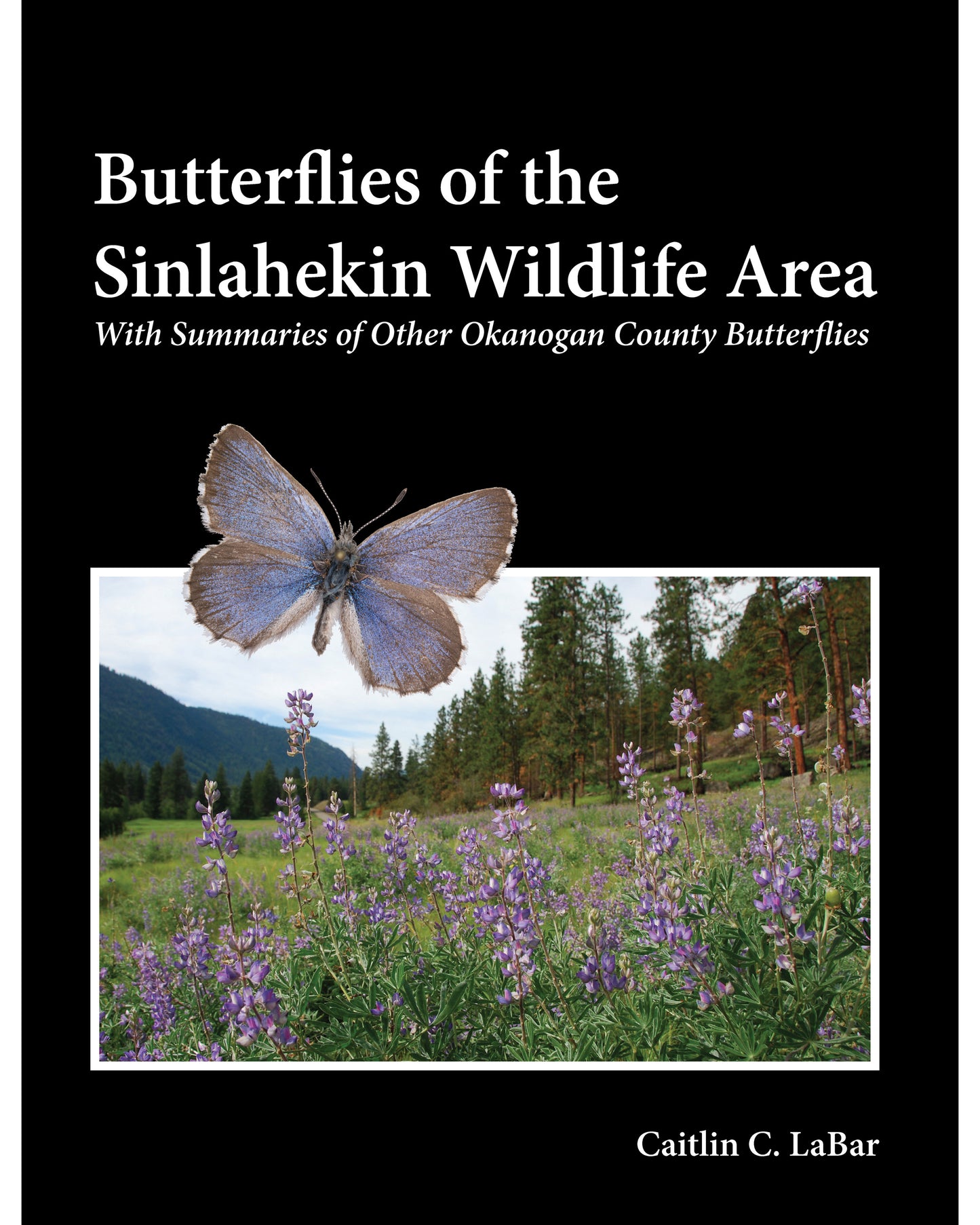 Butterflies of the Sinlahekin Wildlife Area