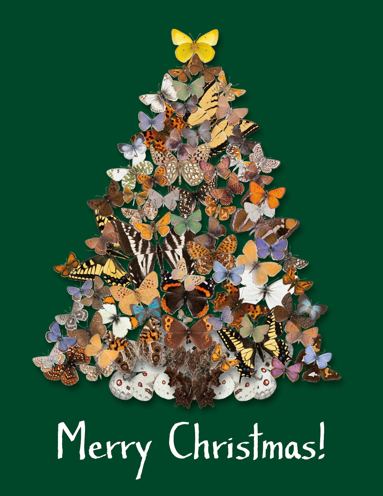 Greeting Card: Christmas Tree