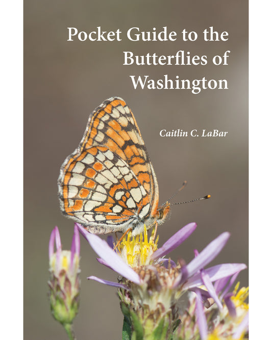 Pocket Guide to the Butterflies of Washington, 3rd ed