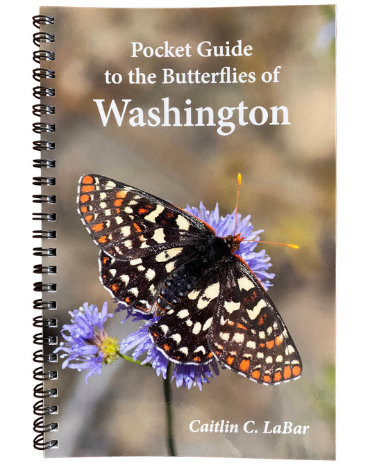 Pocket Guide to the Butterflies of Washington, 4th Ed