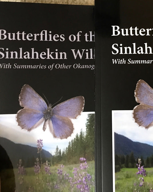 Butterflies of the Sinlahekin Wildlife Area - GRAY COVER