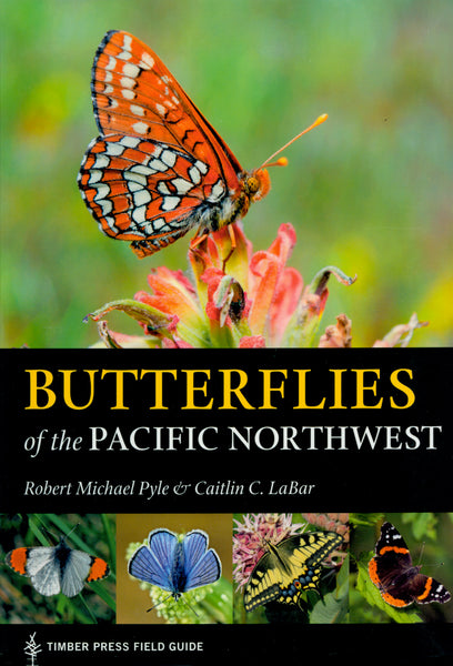 Butterflies of the Pacific Northwest