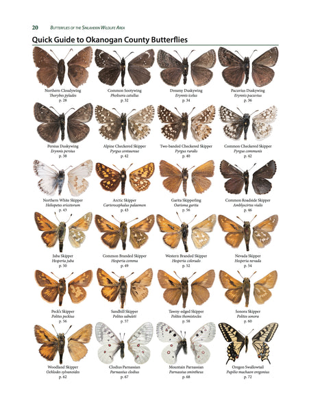 Butterflies of the Sinlahekin Wildlife Area - GRAY COVER
