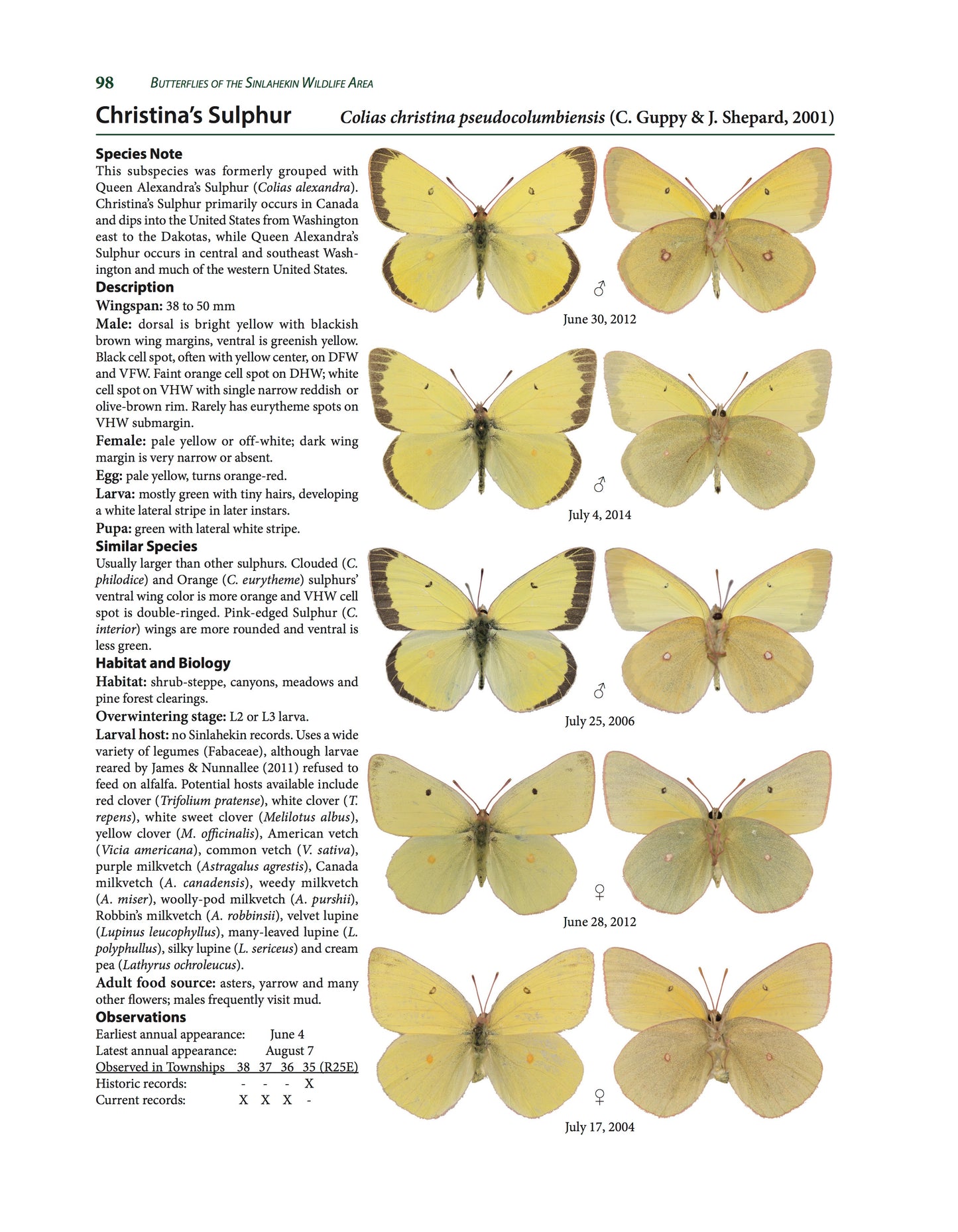 Butterflies of the Sinlahekin Wildlife Area