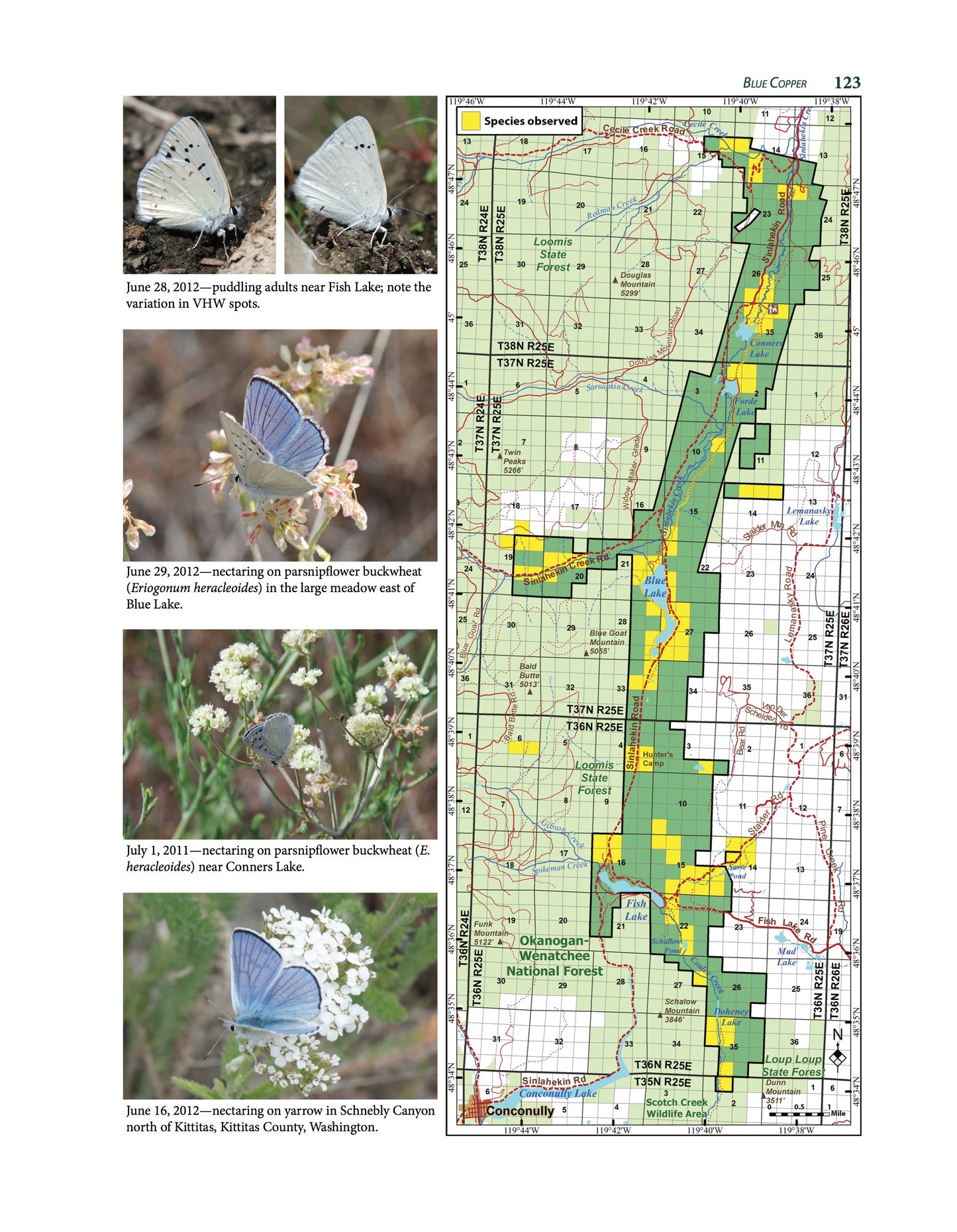 Butterflies of the Sinlahekin Wildlife Area