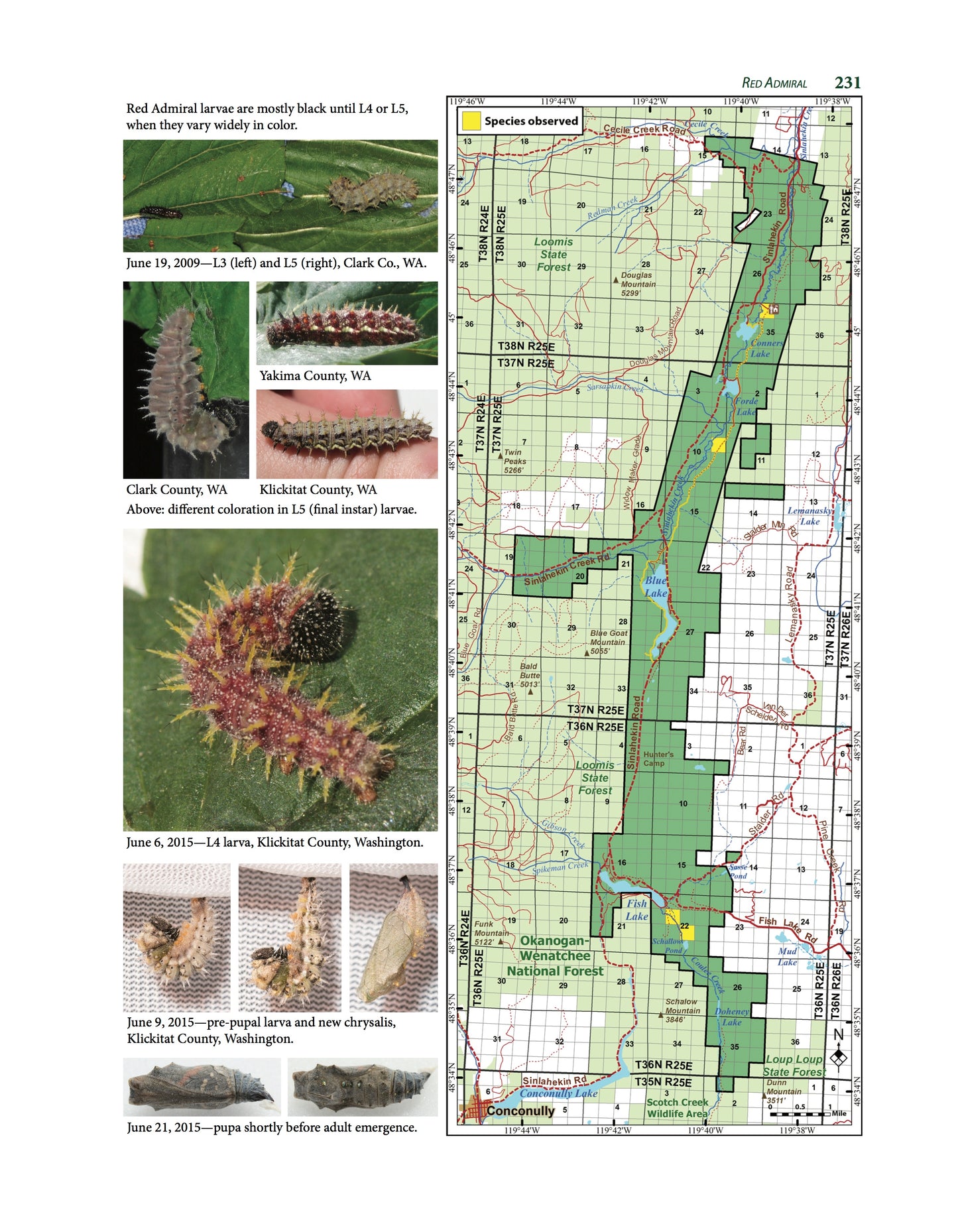 Butterflies of the Sinlahekin Wildlife Area - GRAY COVER