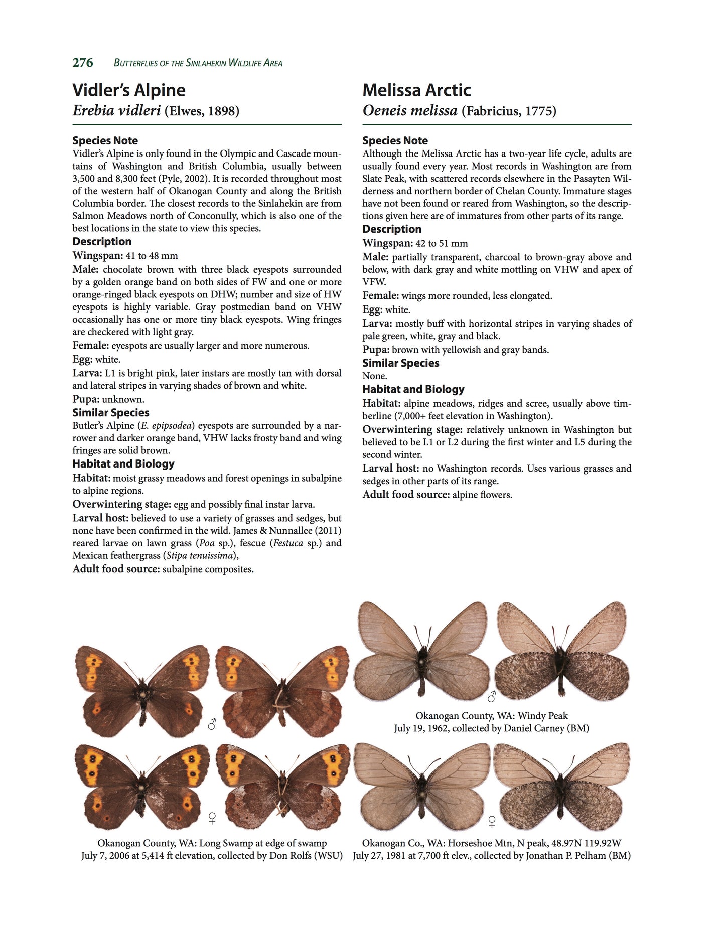 Butterflies of the Sinlahekin Wildlife Area - GRAY COVER